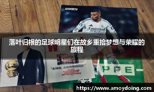 落叶归根的足球明星们在故乡重拾梦想与荣耀的旅程