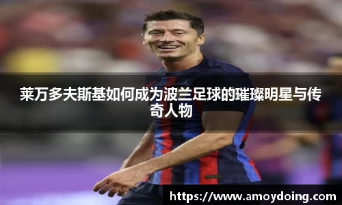 莱万多夫斯基如何成为波兰足球的璀璨明星与传奇人物
