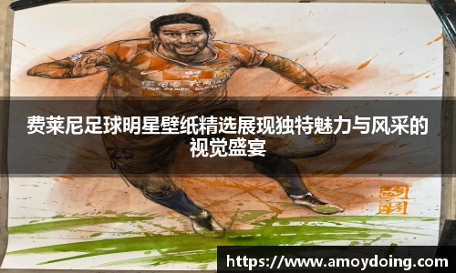 费莱尼足球明星壁纸精选展现独特魅力与风采的视觉盛宴
